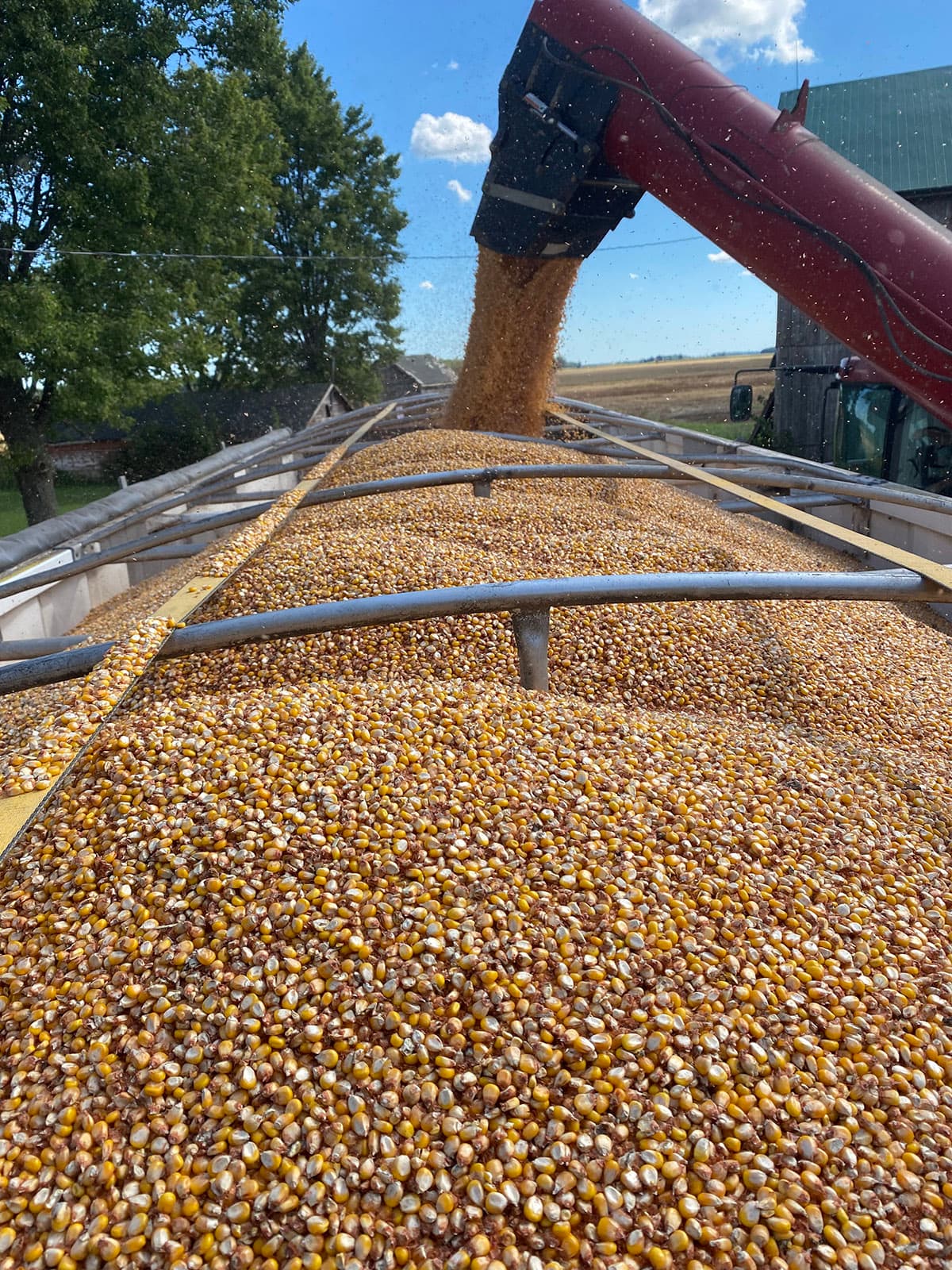 Bacres Grain facility